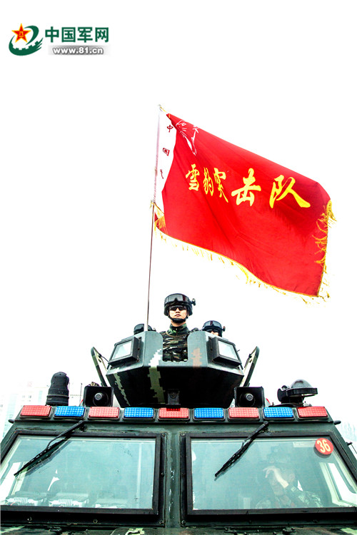 瑞士队前途光明！，Ning新星领先优势明显表现突出上演精彩一战(赛瑞细胞营养液多少钱一瓶)